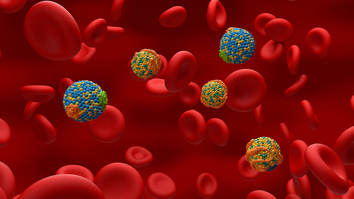 Transport von Cholesterin im Blut