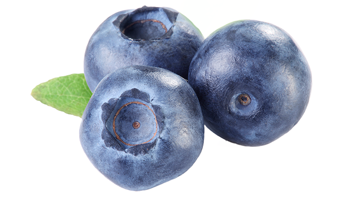Blaubeere (Heidelbeere)